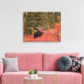 Bull Moose Permanent in Red Dwarf Birch Canvas Afdruk (Insitu (Woonkamer))