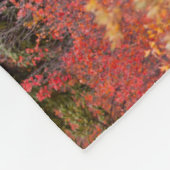 Bull Moose Permanent in Red Dwarf Birch Fleece Deken (Hoek)