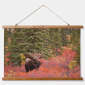 Bull Moose Permanent in Red Dwarf Birch Hangend Wandkleed (Voorkant)