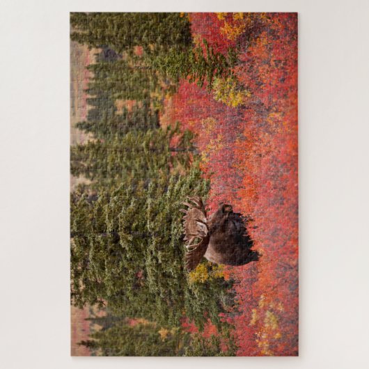 Bull Moose Permanent in Red Dwarf Birch Legpuzzel (Verticaal)