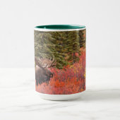 Bull Moose Permanent in Red Dwarf Birch Mok (Midden)