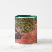 Bull Moose Permanent in Red Dwarf Birch Mok (Midden)