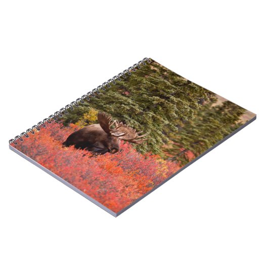 Bull Moose Permanent in Red Dwarf Birch Notitieboek (Linkerzijde)