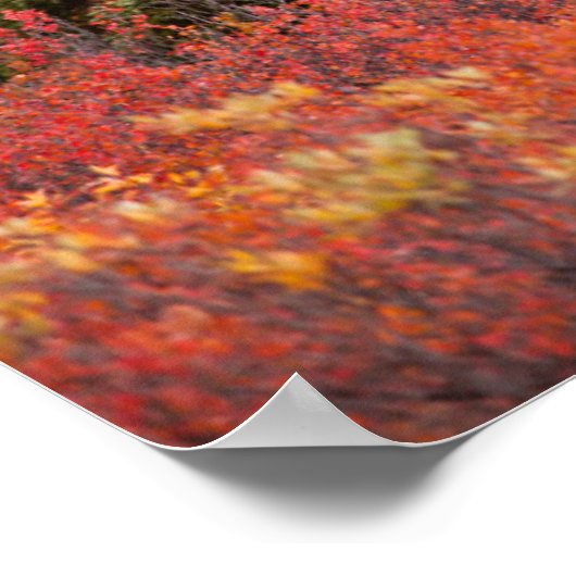 Bull Moose Permanent in Red Dwarf Birch Poster (Hoek)