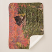 Bull Moose Permanent in Red Dwarf Birch Sherpa Deken (Voorkant)