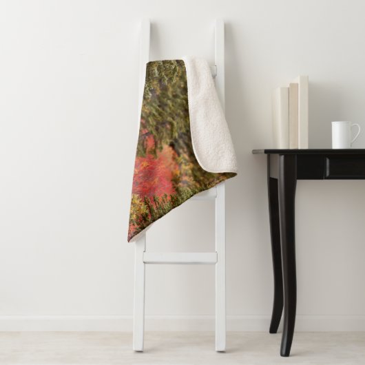 Bull Moose Permanent in Red Dwarf Birch Sherpa Deken (In situ)