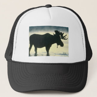 Bull Moose pet