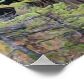 Bull Moose Poster (Hoek)