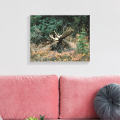 Bull Moose Rests in Vegitation Wrapped Canvas Prin (Insitu (Woonkamer))