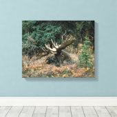 Bull Moose Rests in Vegitation Wrapped Canvas Prin (Insitu (Houten vloer))