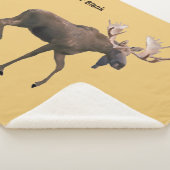 Bull Moose Sherpa Deken (3/4)