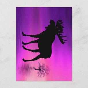 Bull Moose Silhouette Briefkaart