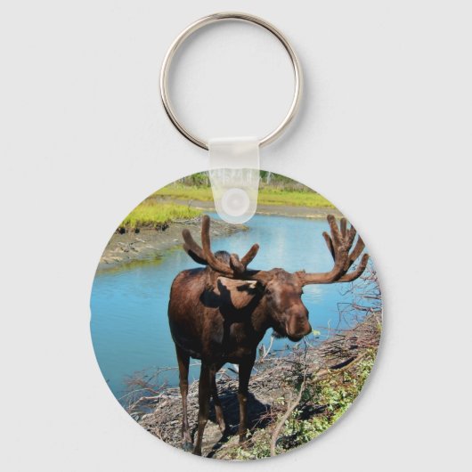 Bull Moose Sleutelhanger (Voorkant)