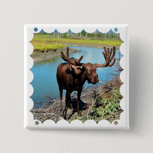 Bull Moose Square Pin Vierkante Button 5,1 Cm (Voorkant)
