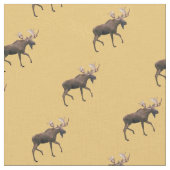 Bull Moose Stof (Close Up)