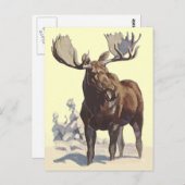 Bull Moose ~ Sunny Winter Day TRAVEL BRIEFKAART (Voorkant / Achterkant)