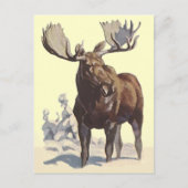 Bull Moose ~ Sunny Winter Day TRAVEL BRIEFKAART (Voorkant)