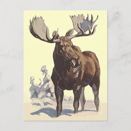 Bull Moose ~ Sunny Winter Day TRAVEL BRIEFKAART (Voorkant)