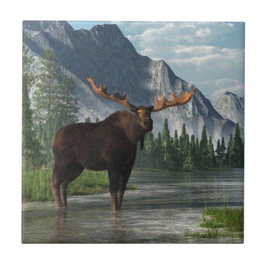 Bull Moose Tegeltje (Voorkant)