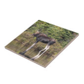 Bull Moose Tegeltje (Zijkant)