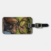 Bull-mose-voeding in Glacier National Park Bagagelabel (Voorkant horizontaal)