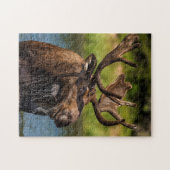 Bull-mose-voeding in Glacier National Park Legpuzzel (Horizontaal)