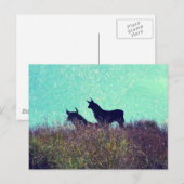 Bull Mountain Briefkaart (Voorkant / Achterkant)