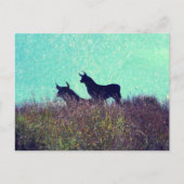 Bull Mountain Briefkaart (Voorkant)