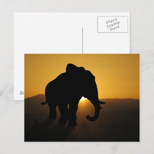 Bull-olifant Briefkaart (Voorkant / Achterkant)