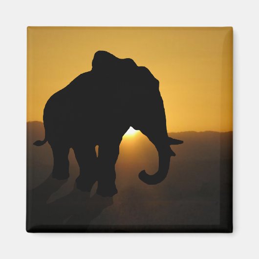 Bull-olifant Magneet (Voorkant)
