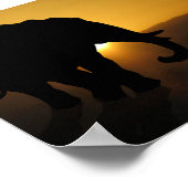 Bull-olifant Poster (Hoek)