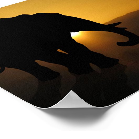 Bull-olifant Poster (Hoek)