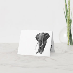 Bull-olifant - Tekening in potlood Kaart