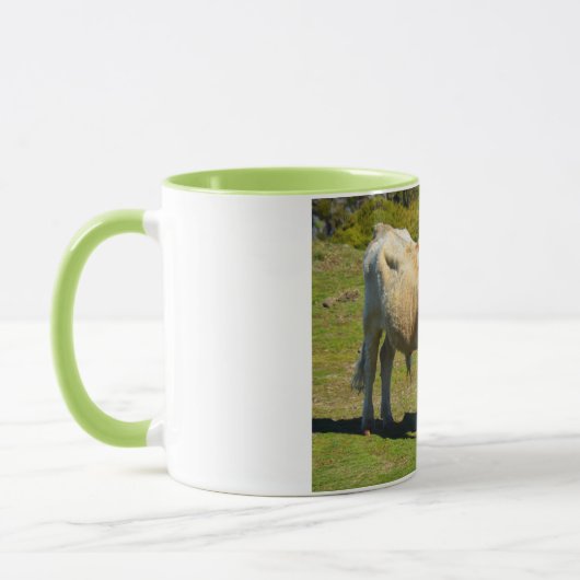 Bull op Madeira Mok (Links)