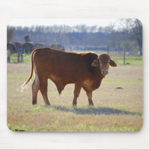 Bull Oustanding in zijne Field Mousepad Muismat