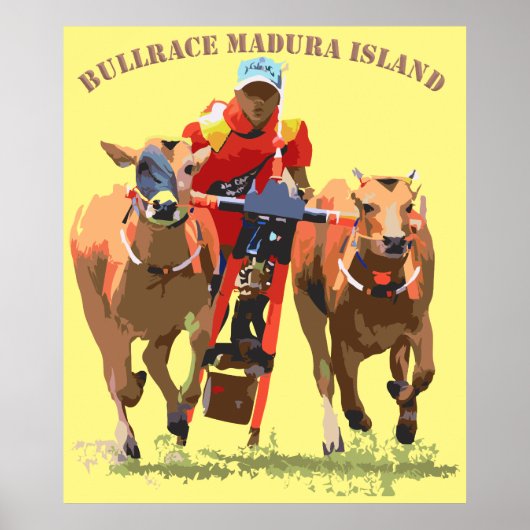 Bull Race poster (Voorkant)