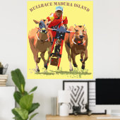 Bull Race poster (Thuiskantoor)