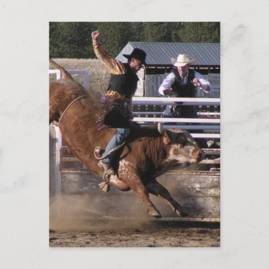 Bull Rider Extreme Briefkaart (Voorkant)