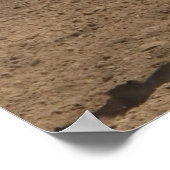 Bull rider hangt aan voor dierbaar leven poster (Hoek)