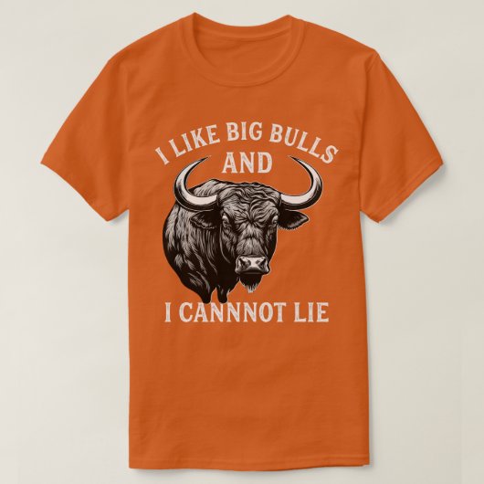 Bull Riding als Big Bulls Rodeo Bull Rider Wester T-shirt (Design voorkant)