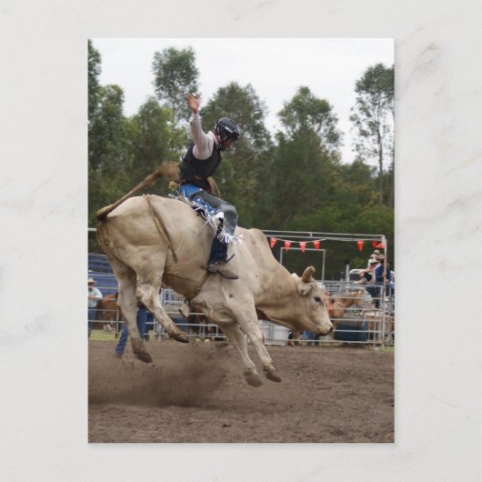 BULL RIDING BERT BRIEFKAART (Voorkant)