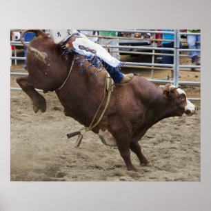 Bull-rijder op rodeo poster