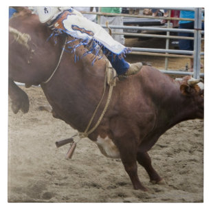 Bull-rijder op rodeo tegeltje