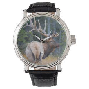 Bull Rocky Mountain Elk Horloge