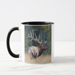 Bull Rocky Mountain Elk Mok