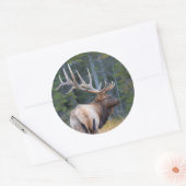 Bull Rocky Mountain Elk Ronde Sticker (Envelop)