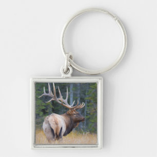 Bull Rocky Mountain Elk Sleutelhanger