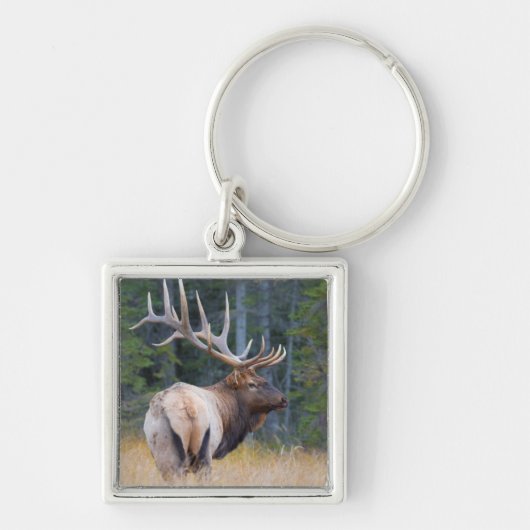 Bull Rocky Mountain Elk Sleutelhanger (Voorkant)