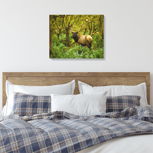 Bull Roosevelt Elk Canvas Afdruk (Insitu (Slaapkamer))