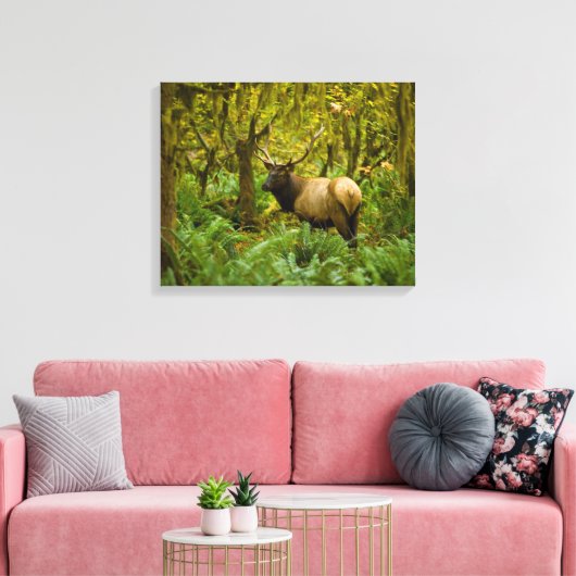 Bull Roosevelt Elk Canvas Afdruk (Insitu (Woonkamer))